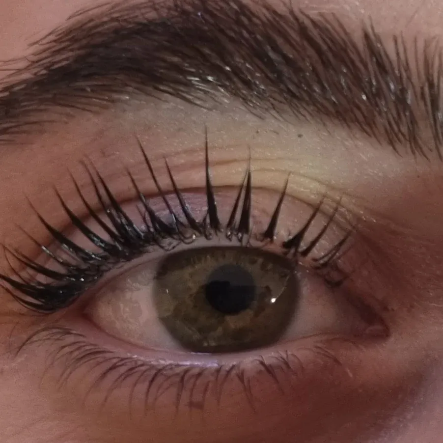 Geliftete, gefärbte Wimpern am braunen Auge