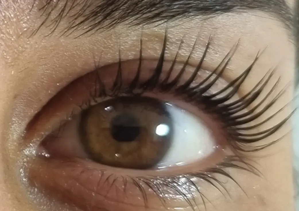 Wimpern nach dem Lifting, seitlich