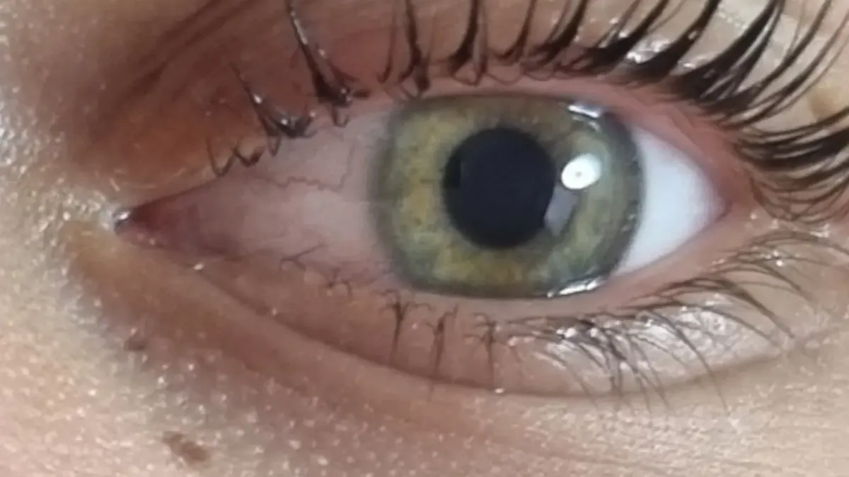 Grünes Auge mit gelifteten Wimpern